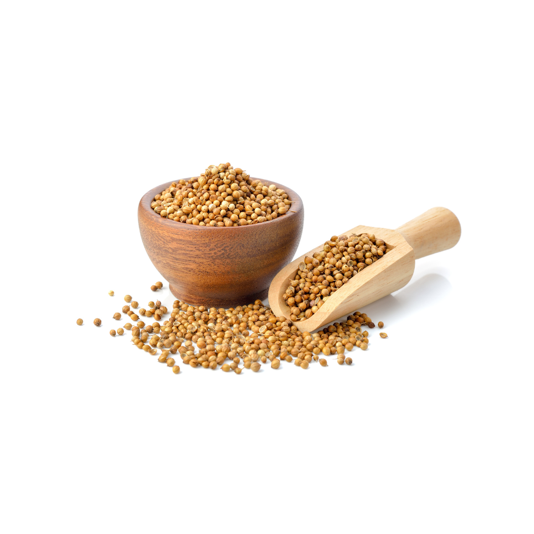 Coriander