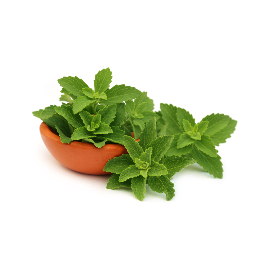 Stevia